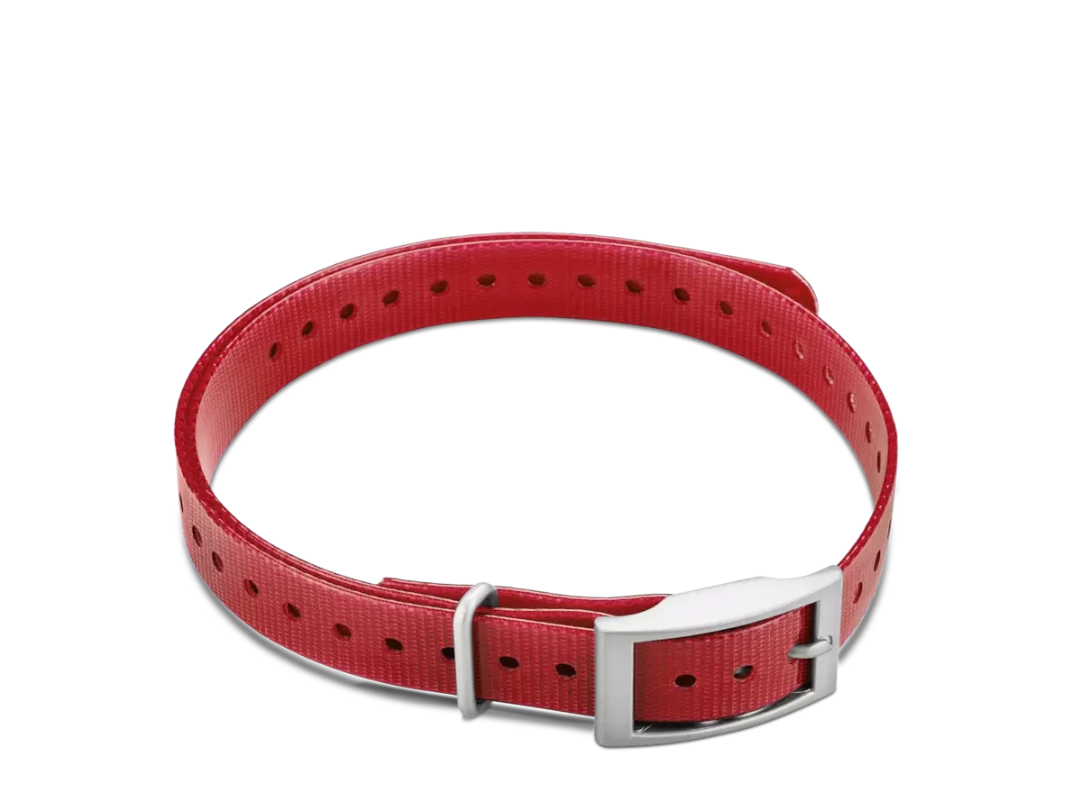 Garmin collar strap hotsell